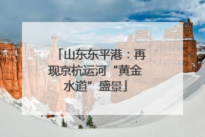 山东东平港：再现京杭运河“黄金水道”盛景