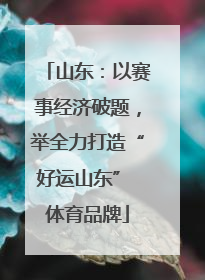 山东：以赛事经济破题，举全力打造“好运山东” 体育品牌