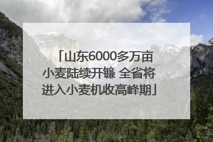 山东6000多万亩小麦陆续开镰 全省将进入小麦机收高峰期
