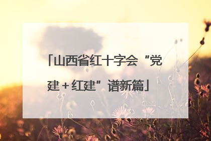 山西省红十字会“党建＋红建”谱新篇
