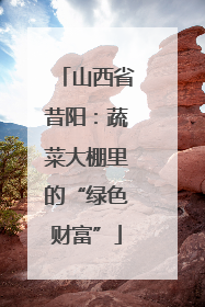 山西省昔阳：蔬菜大棚里的“绿色财富”