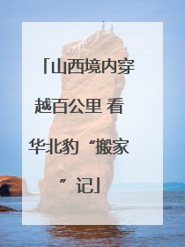 山西境内穿越百公里 看华北豹“搬家”记