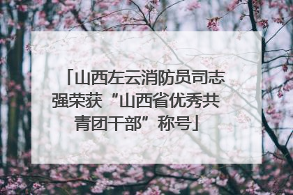 山西左云消防员司志强荣获“山西省优秀共青团干部”称号