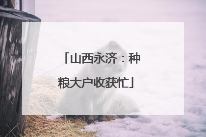 山西永济:种粮大户收获忙