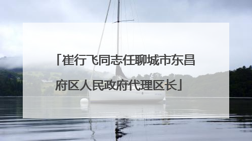 崔行飞同志任聊城市东昌府区人民政府代理区长