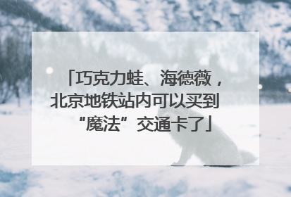 巧克力蛙、海德薇，北京地铁站内可以买到“魔法”交通卡了
