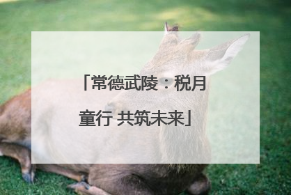 常德武陵：税月童行 共筑未来