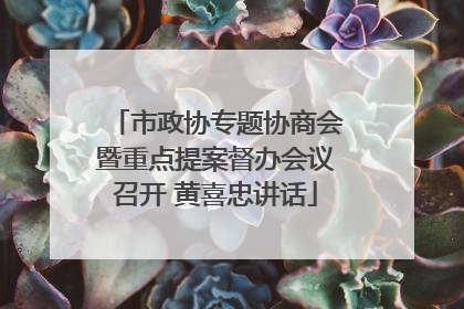市政协专题协商会暨重点提案督办会议召开 黄喜忠讲话