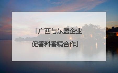 广西与东盟企业促香料香精合作