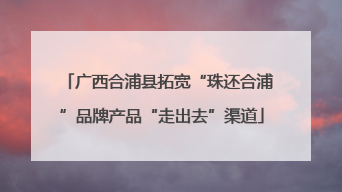广西合浦县拓宽“珠还合浦”品牌产品“走出去”渠道