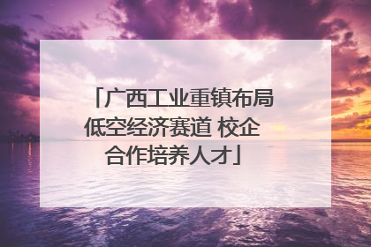 广西工业重镇布局低空经济赛道 校企合作培养人才