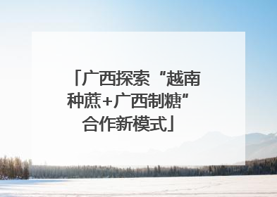 广西探索“越南种蔗+广西制糖”合作新模式