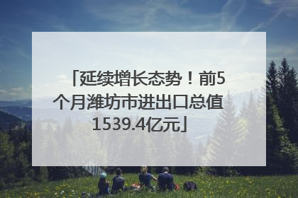 延续增长态势！前5个月潍坊市进出口总值1539.4亿元
