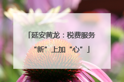 延安黄龙：税费服务“新”上加“心”