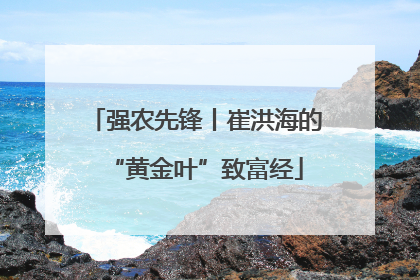 强农先锋丨崔洪海的“黄金叶”致富经