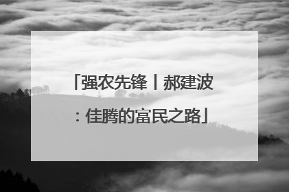 强农先锋丨郝建波：佳腾的富民之路