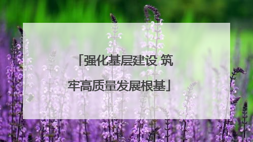强化基层建设 筑牢高质量发展根基