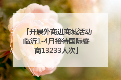 开展外商进商城活动 临沂1-4月接待国际客商13233人次