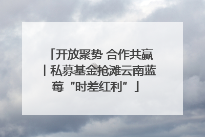 开放聚势 合作共赢丨私募基金抢滩云南蓝莓“时差红利”