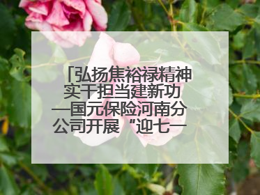 弘扬焦裕禄精神 实干担当建新功—国元保险河南分公司开展“迎七一”主题党日活动