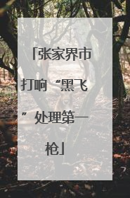 张家界市打响“黑飞”处理第一枪