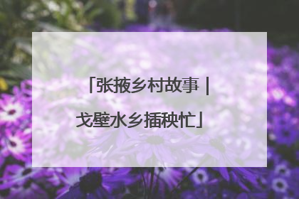 张掖乡村故事｜戈壁水乡插秧忙