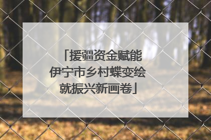 援疆资金赋能 伊宁市乡村蝶变绘就振兴新画卷