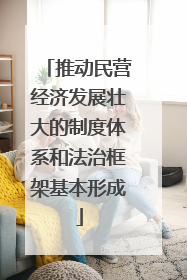 推动民营经济发展壮大的制度体系和法治框架基本形成