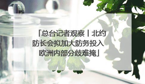 总台记者观察丨北约防长会拟加大防务投入 欧洲内部分歧难掩