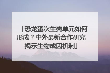 恐龙蛋次生壳单元如何形成？中外最新合作研究揭示生物成因机制