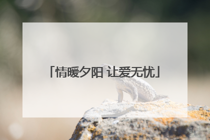 情暖夕阳 让爱无忧