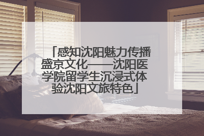 感知沈阳魅力传播盛京文化——沈阳医学院留学生沉浸式体验沈阳文旅特色
