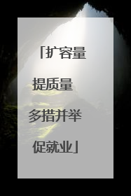 扩容量提质量 多措并举促就业