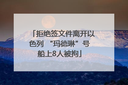 拒绝签文件离开以色列 “玛德琳”号船上8人被拘