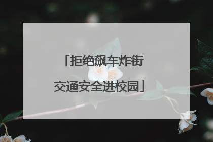 拒绝飙车炸街 交通安全进校园