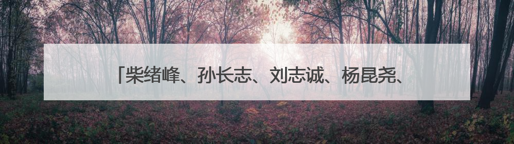 柴绪峰、孙长志、刘志诚、杨昆尧、宗刚、樊桂玉，罔顾党中央三令五申，不知敬畏、我行我素、肆意妄为！
