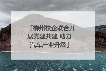柳州校企联合开展党建共建 助力汽车产业升级