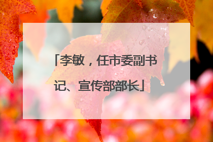 李敏，任市委副书记、宣传部部长