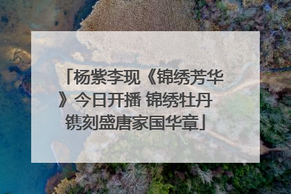 杨紫李现《锦绣芳华》今日开播 锦绣牡丹镌刻盛唐家国华章