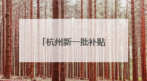 杭州新一批补贴、消费券来了！包括手机、平板等