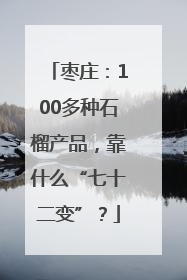 枣庄：100多种石榴产品，靠什么“七十二变”？