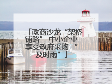 政商沙龙“架桥铺路” 中小企业享受政府采购 “及时雨”