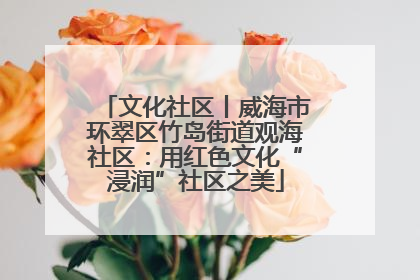 文化社区丨威海市环翠区竹岛街道观海社区：用红色文化“浸润”社区之美