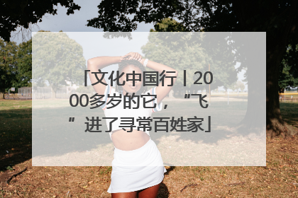 文化中国行丨2000多岁的它，“飞”进了寻常百姓家