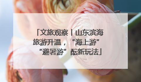 文旅观察丨山东滨海旅游升温，“海上游”“避暑游”酝新玩法