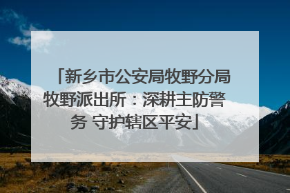 新乡市公安局牧野分局牧野派出所：深耕主防警务 守护辖区平安
