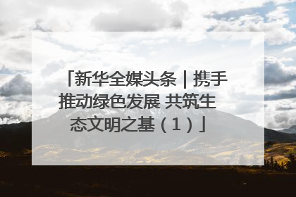 新华全媒头条｜携手推动绿色发展 共筑生态文明之基（1）