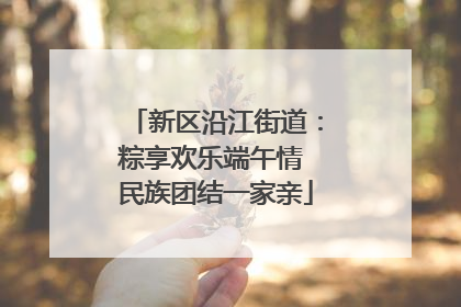新区沿江街道：粽享欢乐端午情 民族团结一家亲