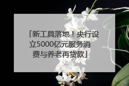 新工具落地！央行设立5000亿元服务消费与养老再贷款