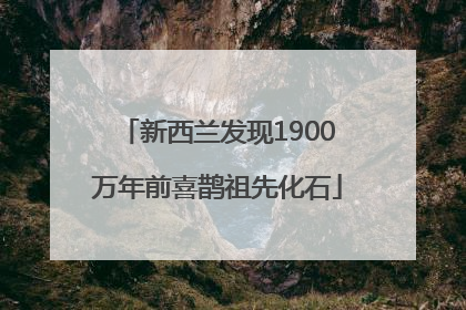 新西兰发现1900万年前喜鹊祖先化石